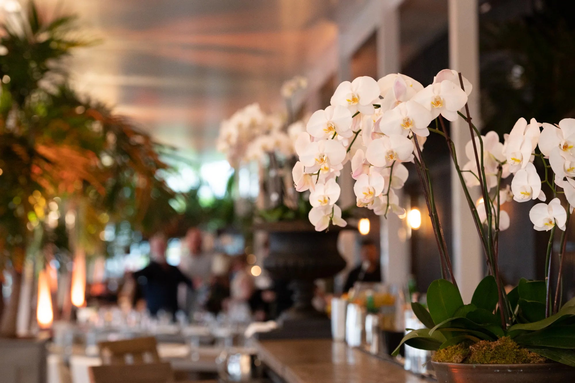 Miami event venues, from waterfront terraces to ballrooms, styled by Cbevents